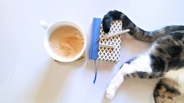 Da strahlt das Nauli Herz: Katze und Kalender