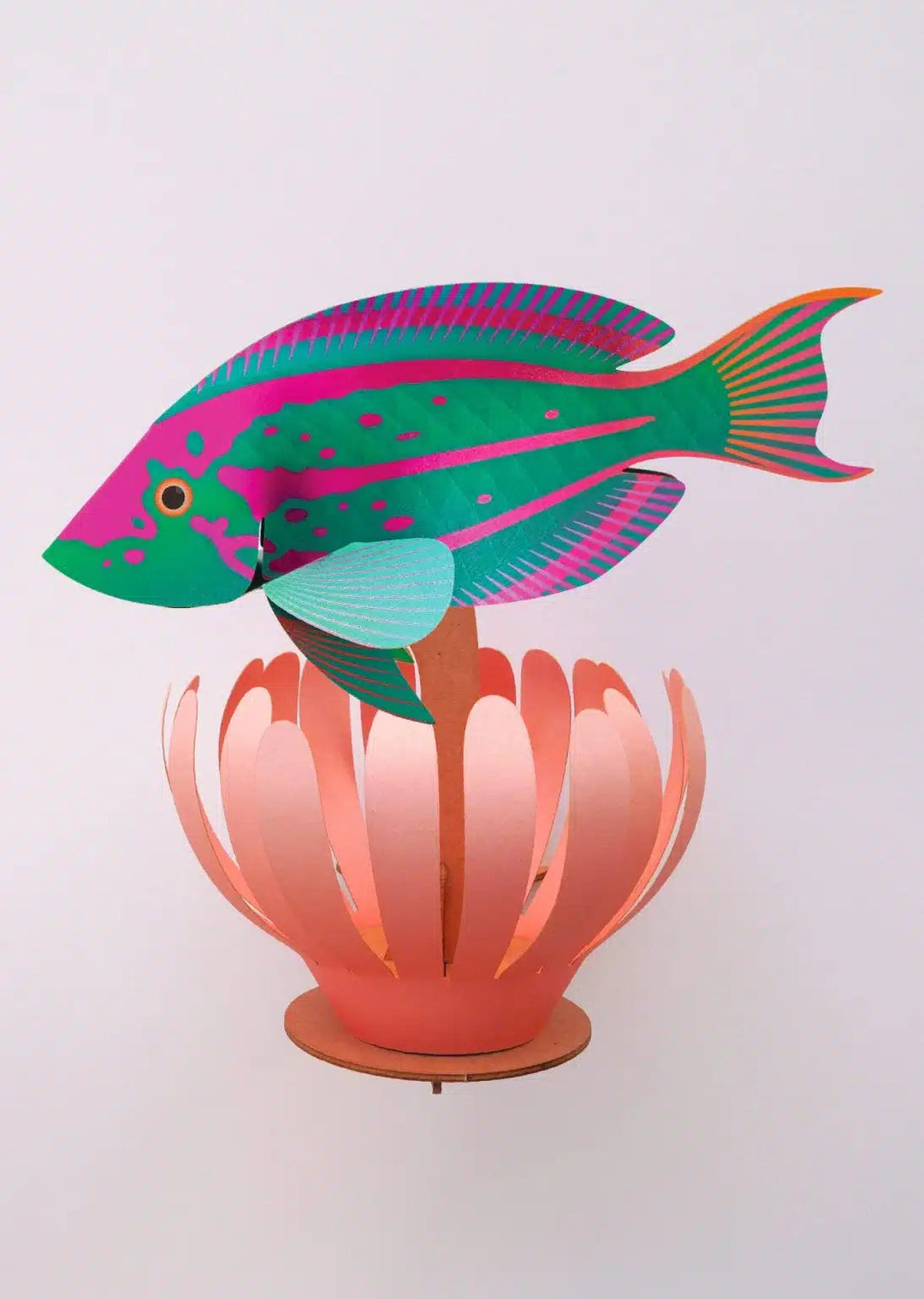 3D-Bastelset Rainbow Wrasse bei Nauli and Stories