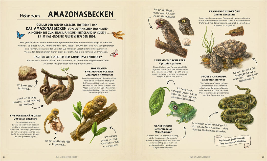 Insel Verlag Bilderbuch Perfekt Versteckt -  Wie Tiere sich Tarnen bei Nauli and Stories