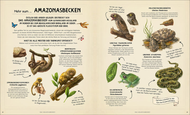 Insel Verlag Bilderbuch Perfekt Versteckt -  Wie Tiere sich Tarnen bei Nauli and Stories