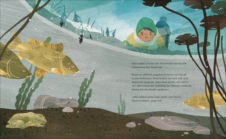 Insel Verlag Bilderbuch Winterschlaf bei Nauli and Stories