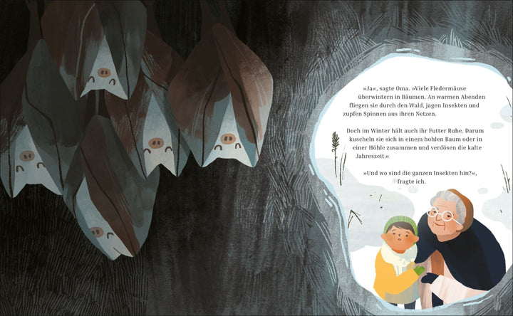 Insel Verlag Bilderbuch Winterschlaf bei Nauli and Stories