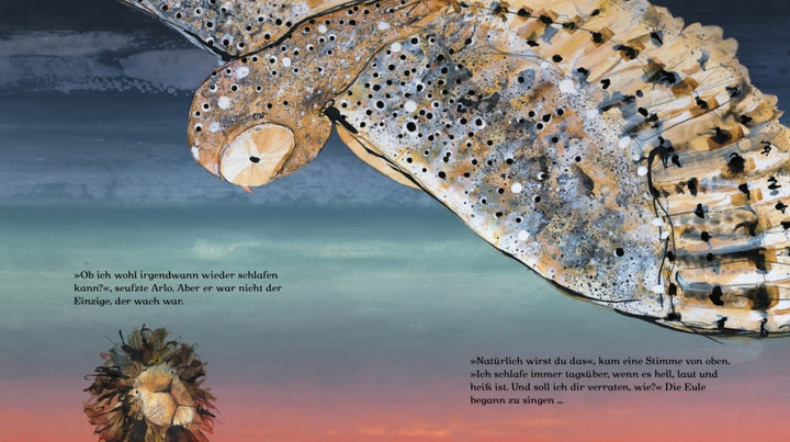 Knesebeck Bilderbuch Arlo kann nicht schlafen bei Nauli and Stories