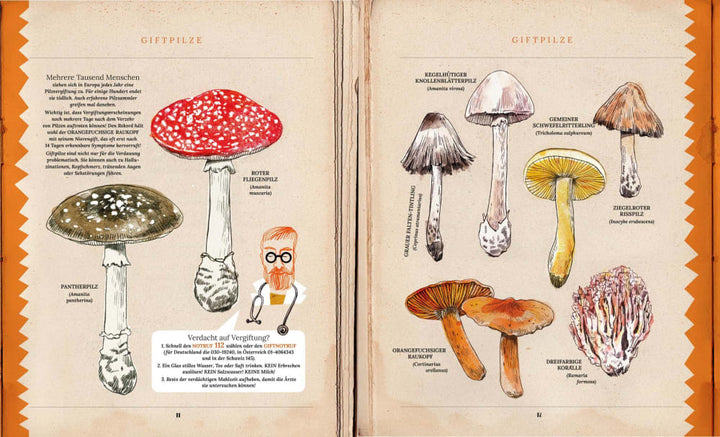 Knesebeck Bilderbuch Pilze - Verrückte Fakten über Fliegenpilz, Hefe und Co bei Nauli and Stories
