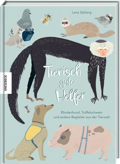 Knesebeck Bilderbuch Tierisch gute Helfer bei Nauli and Stories