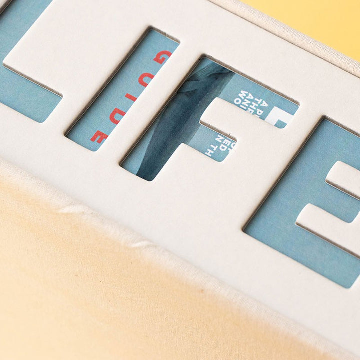 Londji Puzzle Life Puzzle bei Nauli and Stories