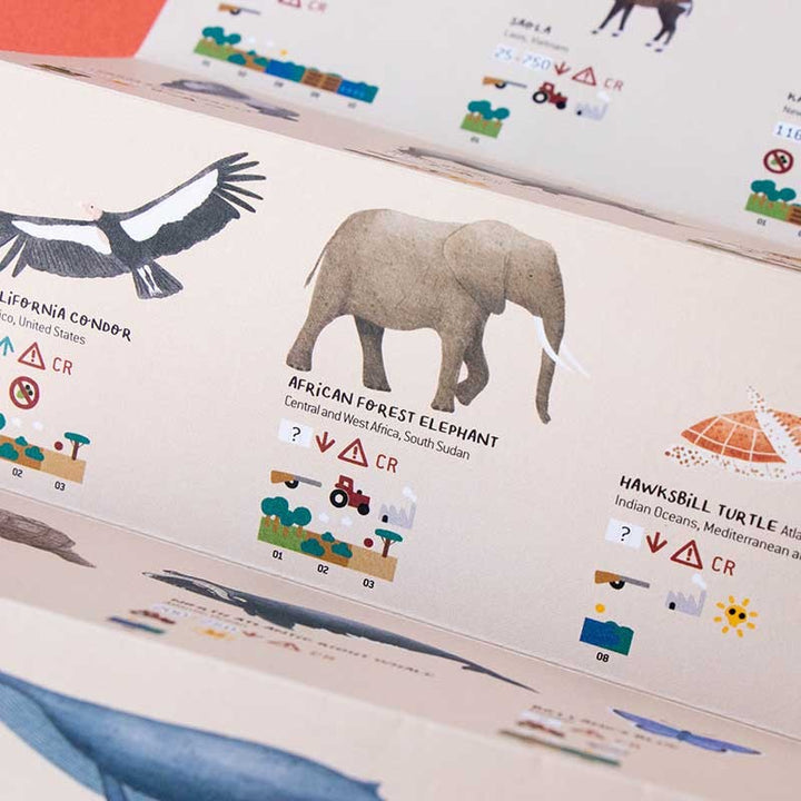 Londji Puzzle Life Puzzle bei Nauli and Stories
