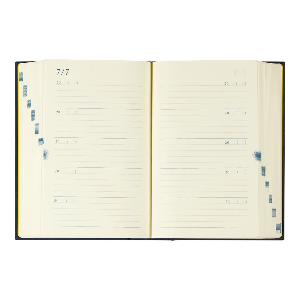 Midori Tagebuch Daily Diary 10 Years Blue Gate bei Nauli and Stories