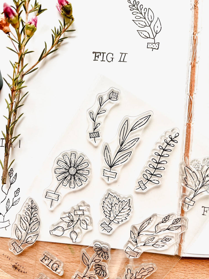 Nikki Dotti Stempel Stamp set - Herbarium bei Nauli and Stories
