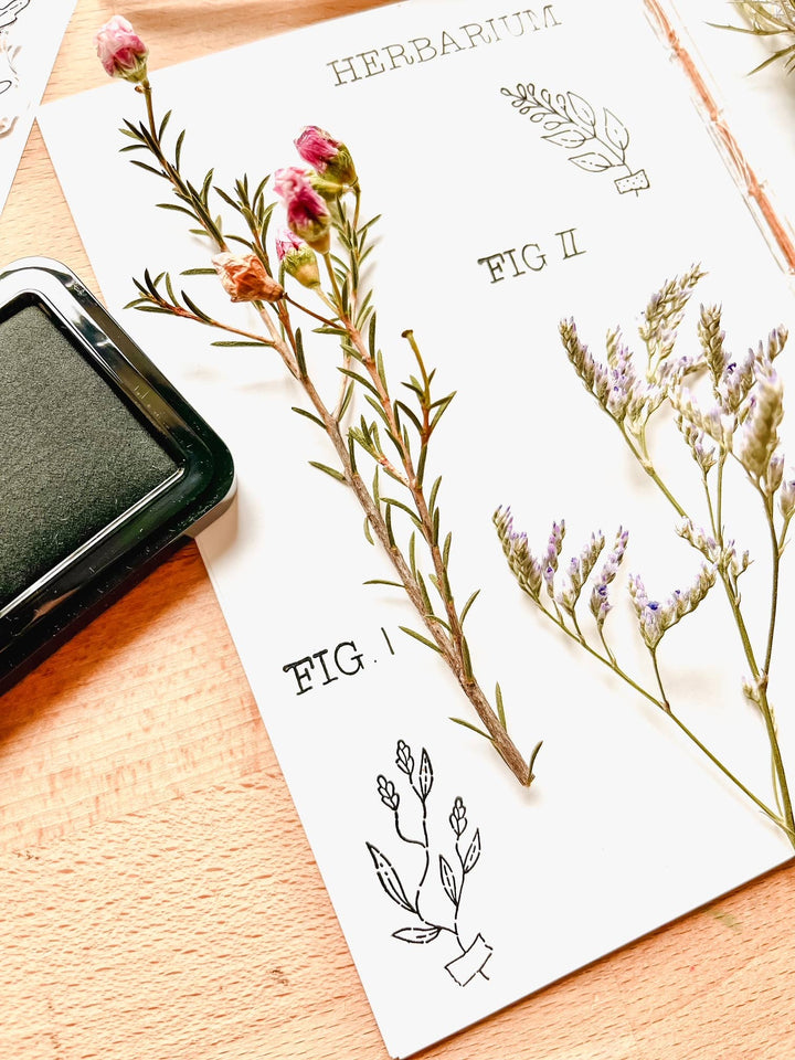 Nikki Dotti Stempel Stamp set - Herbarium bei Nauli and Stories