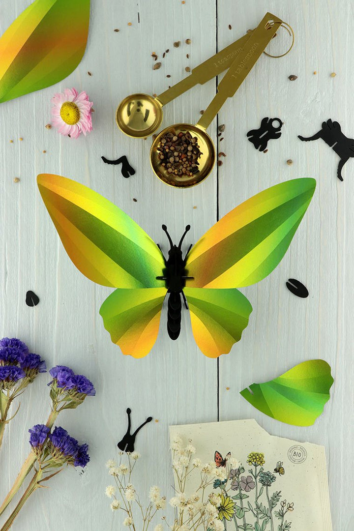 3D-Bastelset DIY-Set DIY - Bastel - Set - Birdwing Schmetterling - grün bei Nauli and Stories