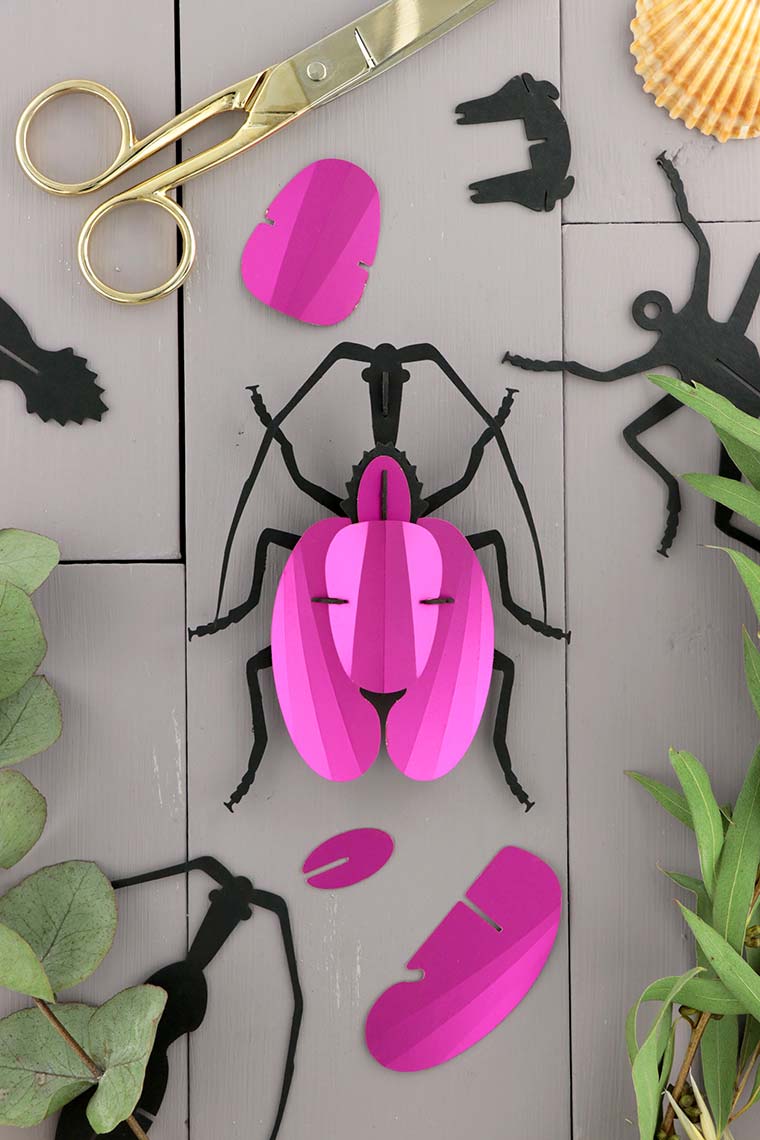 3D-Bastelset DIY-Set DIY - Bastelset Gespenstlaufkäfer in pink bei Nauli and Stories