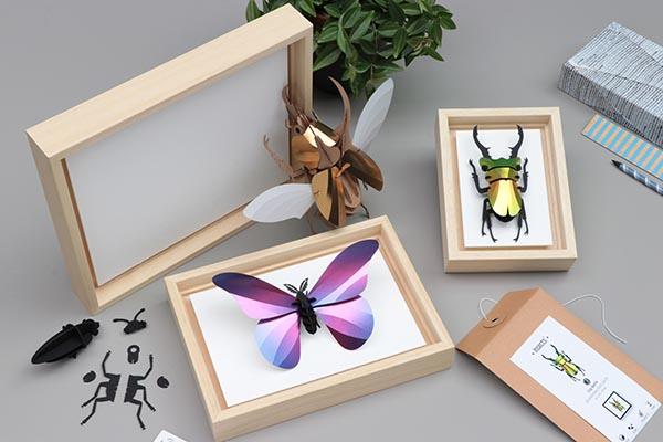 3D-Bastelset Rahmen Rahmen für DIY - Set Insekten L bei Nauli and Stories