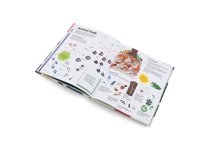 Gestalten Bilderbuch Let´s Play Outdoors bei Nauli and Stories