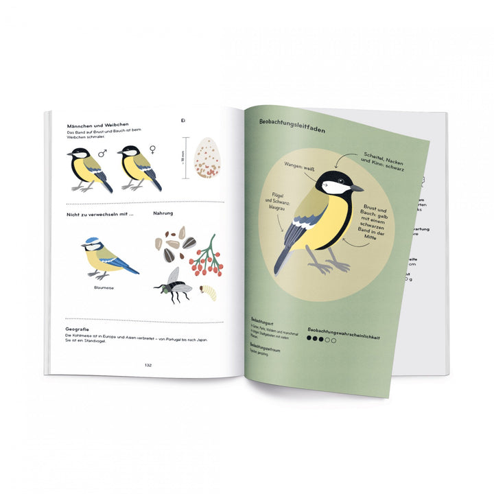 Helvetiq Buch Ornithorama bei Nauli and Stories