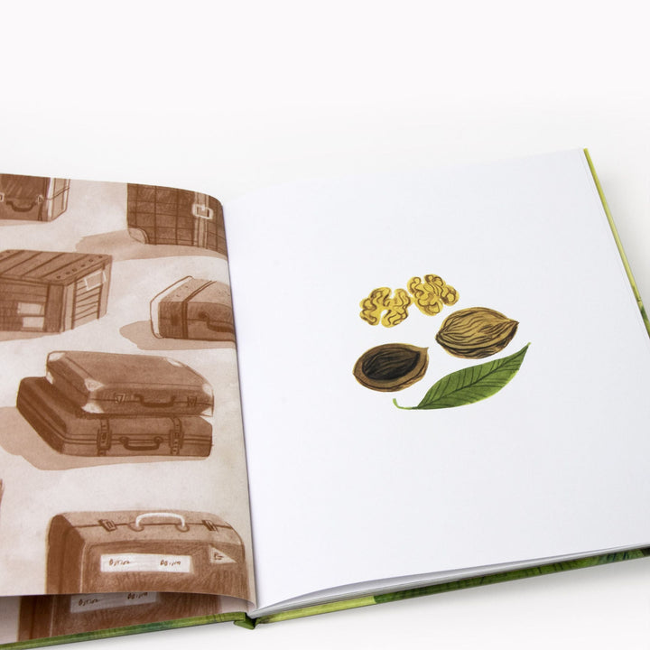 Insel Verlag Bilderbuch Großvaters Walnuss bei Nauli and Stories