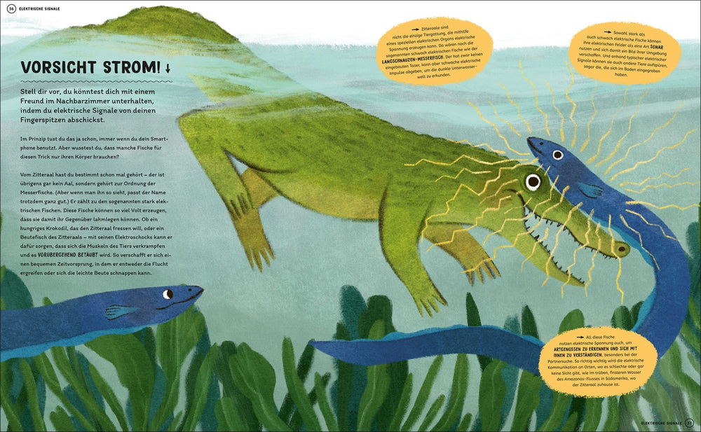 Insel Verlag Bilderbuch Wie man mit Tigern spricht - Bilderbuch bei Nauli and Stories