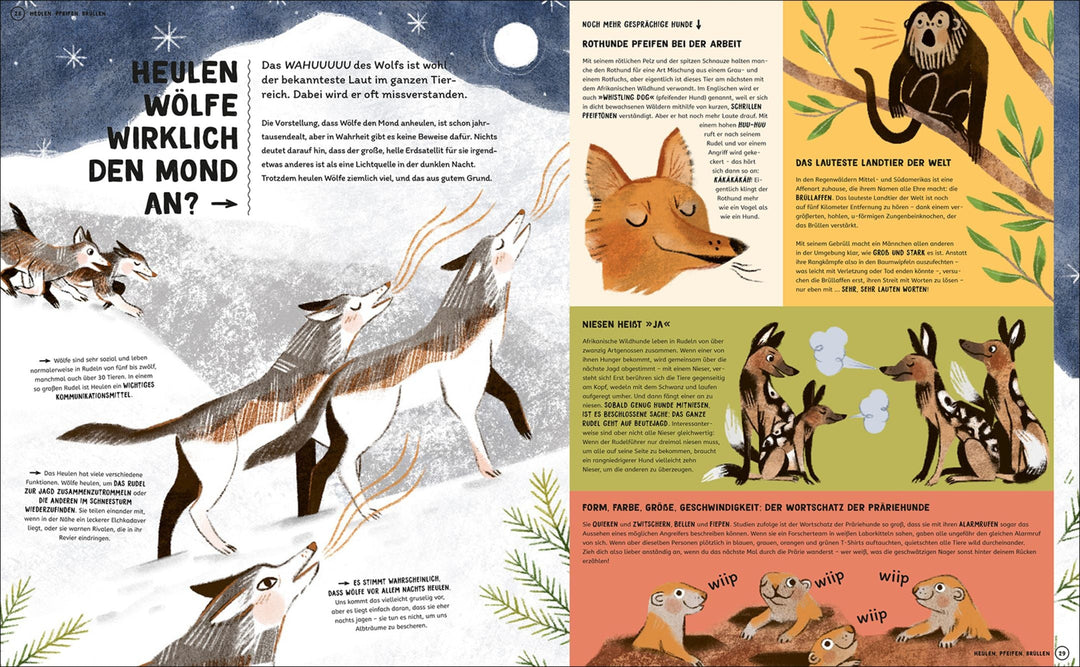 Insel Verlag Bilderbuch Wie man mit Tigern spricht - Bilderbuch bei Nauli and Stories