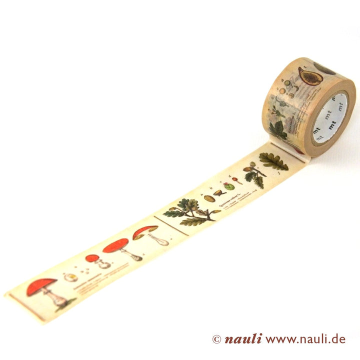 Kamoi Washi Tape Washi Masking Tape Encyclopedia bei Nauli and Stories