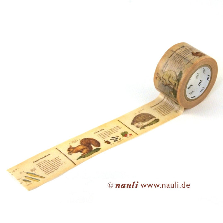 Kamoi Washi Tape Washi Masking Tape Encyclopedia bei Nauli and Stories