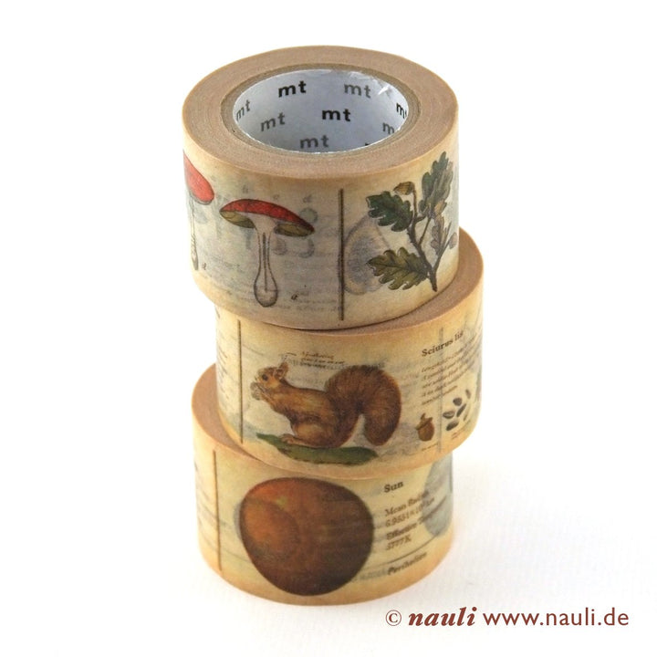 Kamoi Washi Tape Washi Masking Tape Encyclopedia bei Nauli and Stories