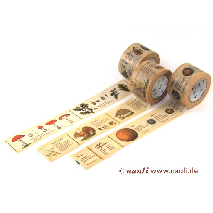 Kamoi Washi Tape Washi Masking Tape Encyclopedia bei Nauli and Stories
