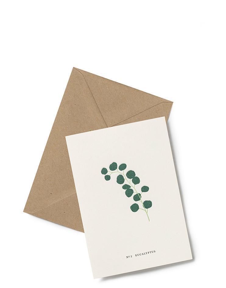 Kartotek Genesung Grußkarte - Eucalyptus No2 bei Nauli and Stories