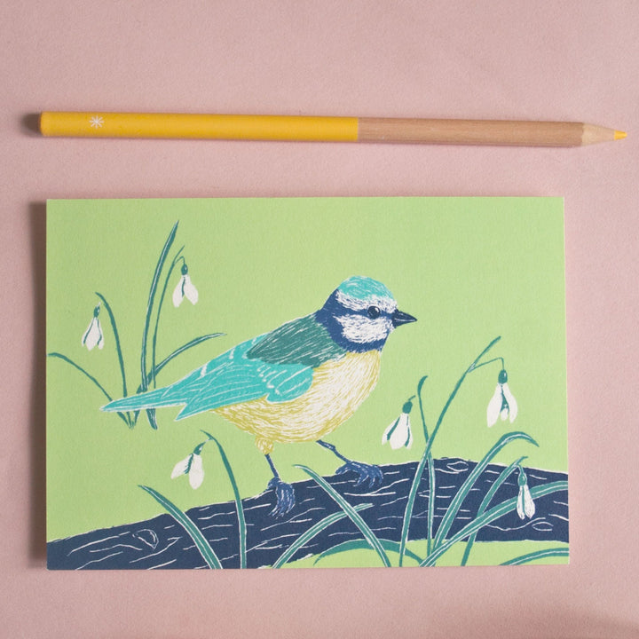 Katja Rub Tier Meise Postkarte bei Nauli and Stories