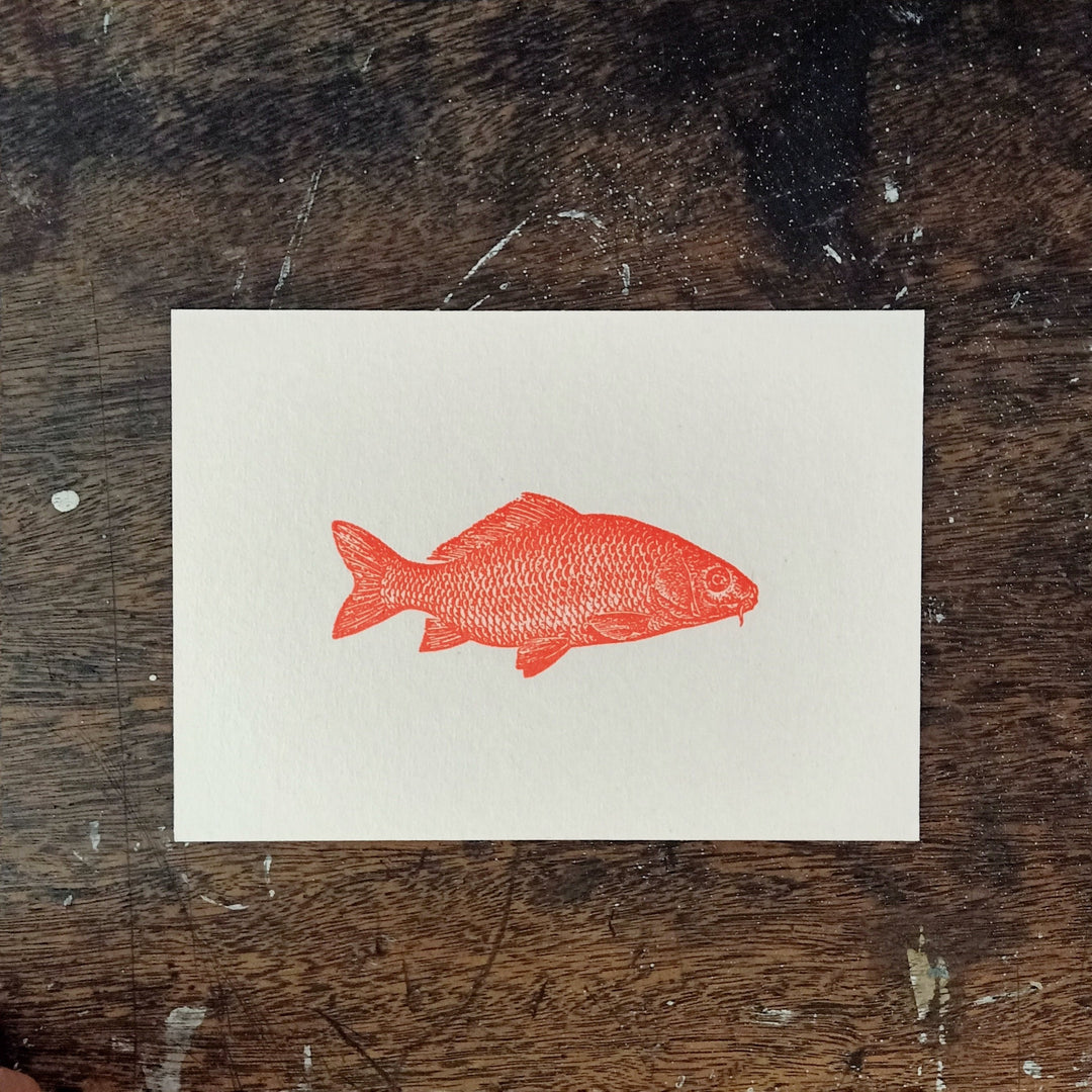 Letternpresse Grußkarte Grußkarte Fisch I - Letterpress bei Nauli and Stories