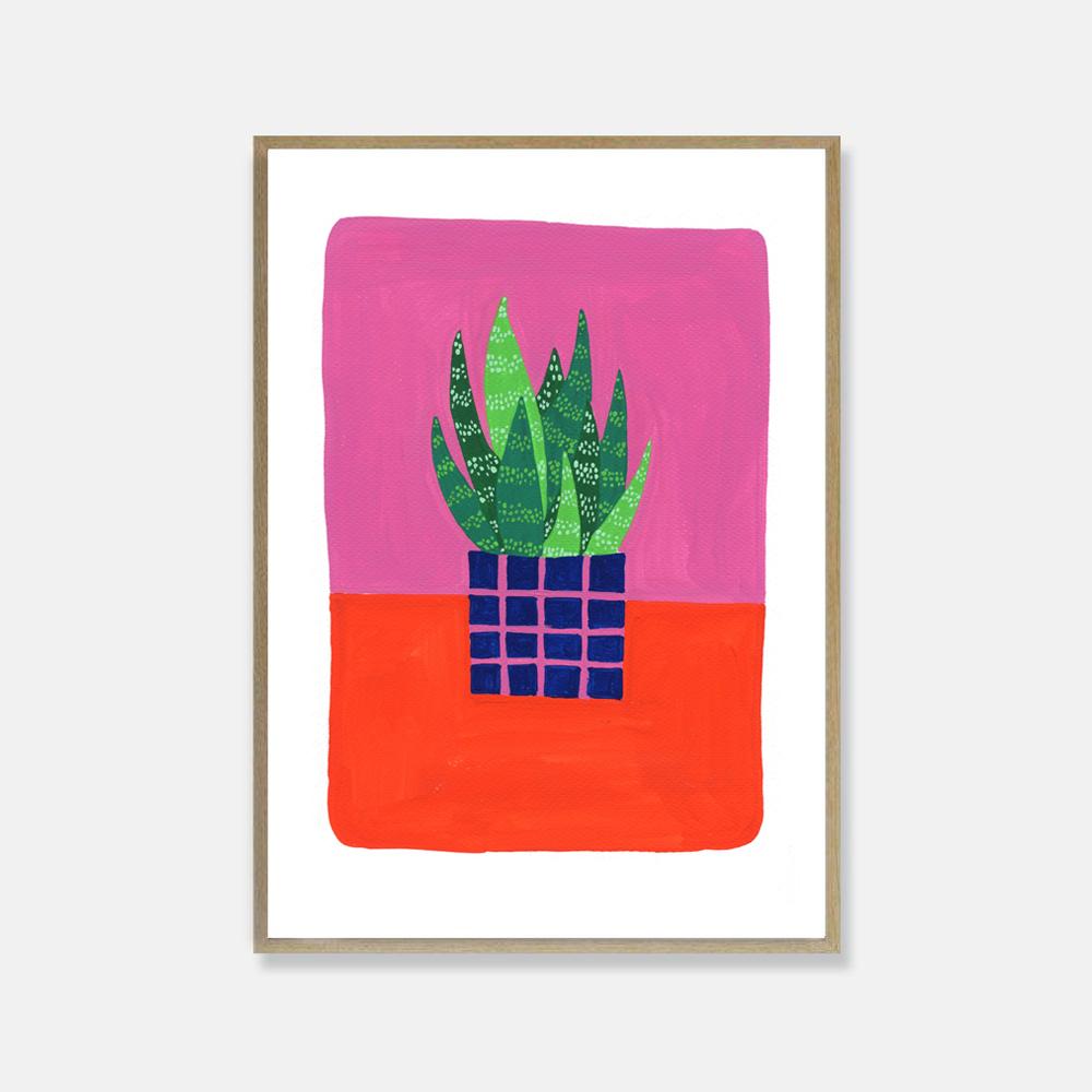 Pink Cloud Studio Kunstdruck Kunstdruck A4 Aloe Vera Pflanze bei Nauli and Stories