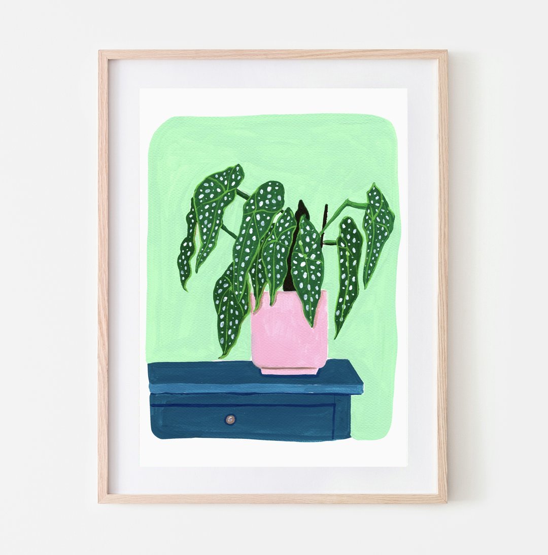 Pink Cloud Studio Kunstdruck Kunstdruck A4 Begonia Maculata Pflanze