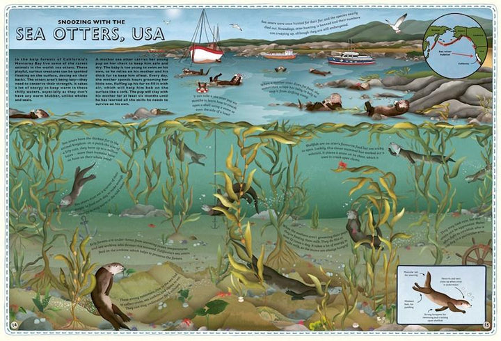 Wide Eyed Editions Bilderbuch Atlas of Ocean Adventures bei Nauli and Stories