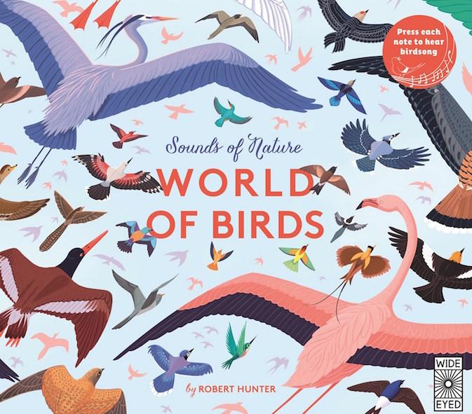 Wide Eyed Editions Bilderbuch WORLD OF BIRDS - Sounds of Nature bei Nauli and Stories