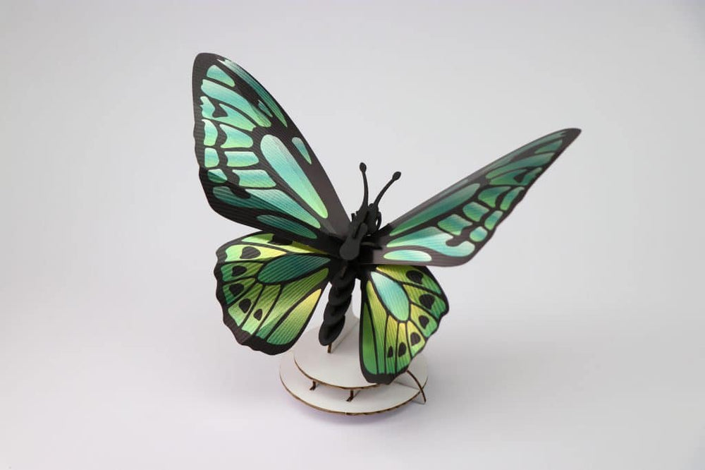 3D-Bastelset DIY-Set DIY - Bastel - Set - Birdwing Schmetterling grün schwarz