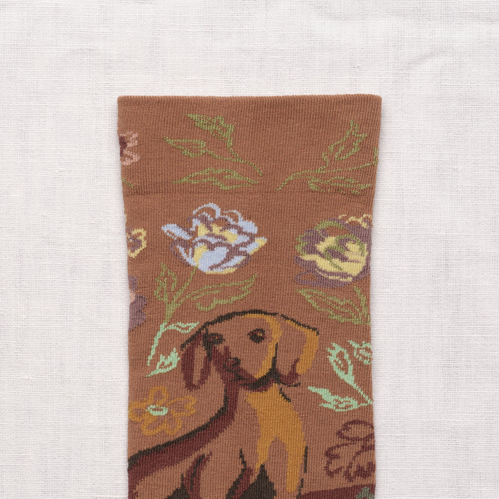 Bonne Maison Baumwollsocken Socken Caramel Dog von Bonne Maison bei Nauli and Stories
