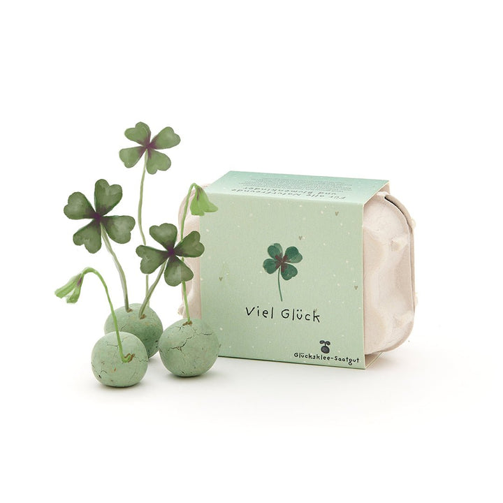 Die Stadtgärtner 6 bunte Blumenmurmeln im Eierkarton "Viel Glück" bei Nauli and Stories