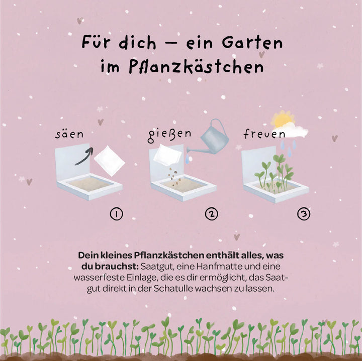 Die Stadtgärtner Anzuchtset Pflanzkästchen - Danke dass Du mir beim Wachsen geholfen hast. bei Nauli and Stories