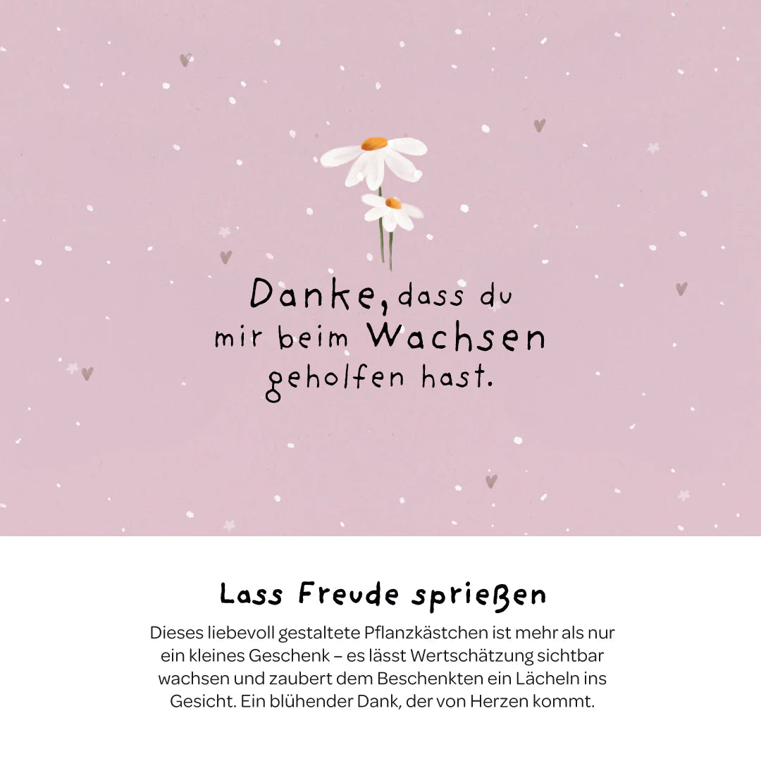 Die Stadtgärtner Anzuchtset Pflanzkästchen - Danke dass Du mir beim Wachsen geholfen hast. bei Nauli and Stories