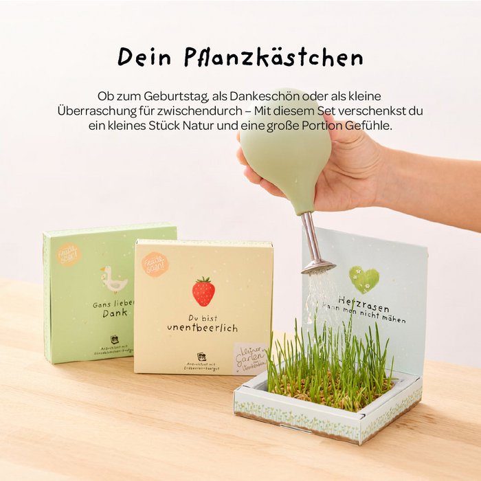Die Stadtgärtner Anzuchtset Pflanzkästchen HDGDL - Hab Dich ganz doll lieb bei Nauli and Stories