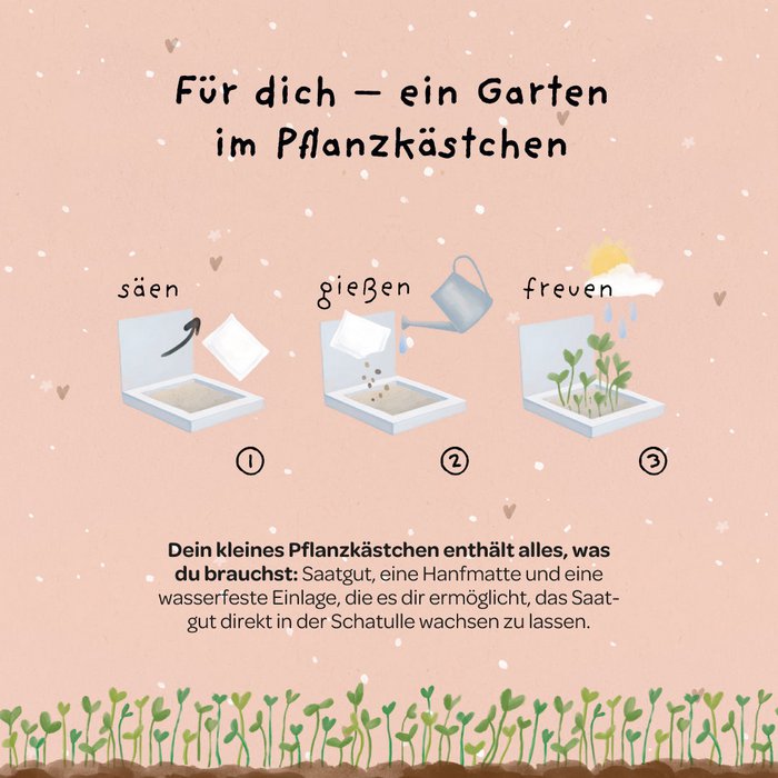 Die Stadtgärtner Anzuchtset Pflanzkästchen HDGDL - Hab Dich ganz doll lieb bei Nauli and Stories