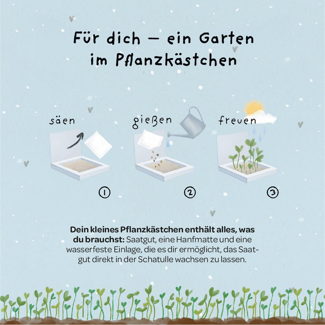Die Stadtgärtner Anzuchtset Pflanzkästchen - Herzrasen bei Nauli and Stories