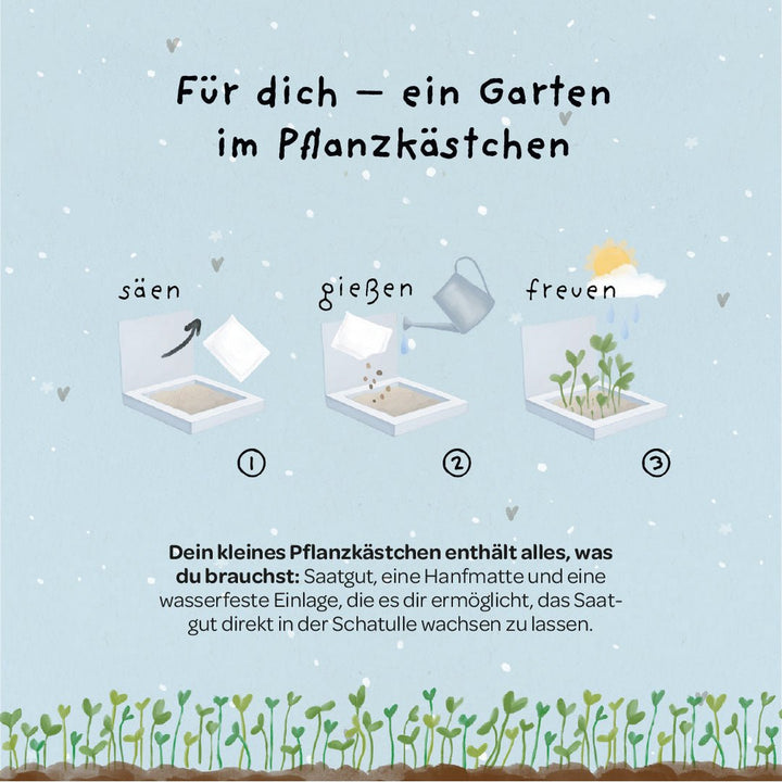 Die Stadtgärtner Anzuchtset Pflanzkästchen - Herzrasen bei Nauli and Stories