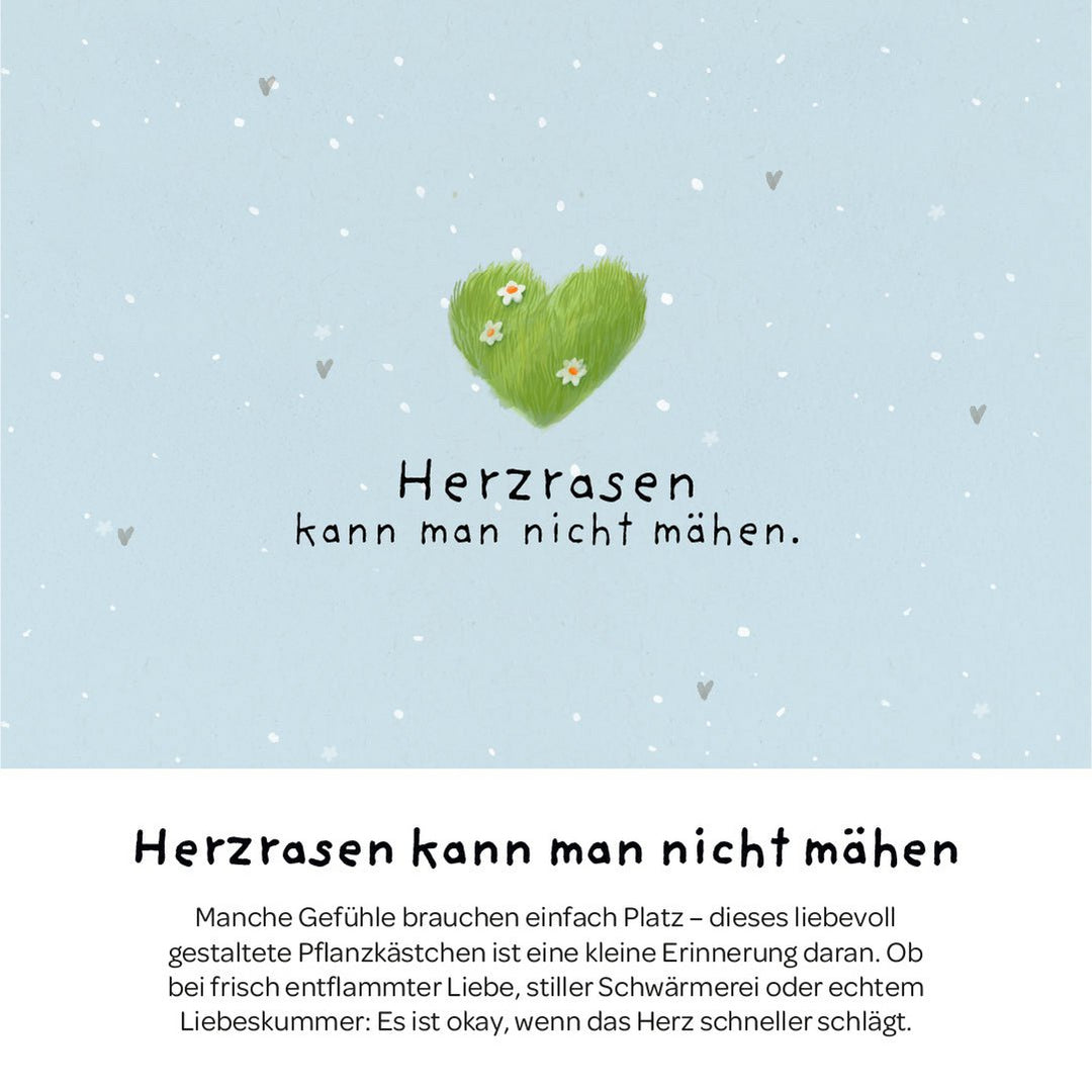 Die Stadtgärtner Anzuchtset Pflanzkästchen - Herzrasen bei Nauli and Stories