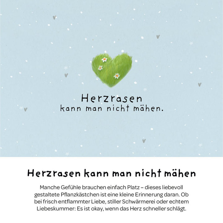 Die Stadtgärtner Anzuchtset Pflanzkästchen - Herzrasen bei Nauli and Stories