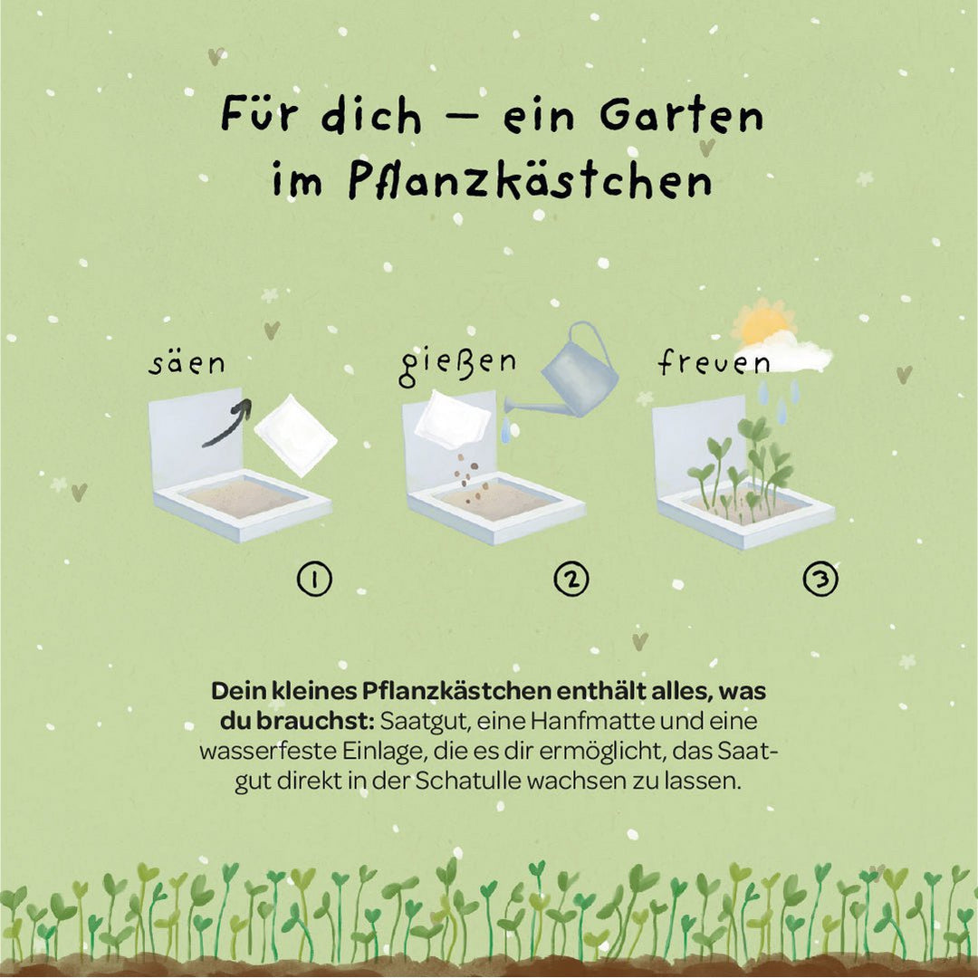 Die Stadtgärtner Pflanzkästchen - Gans lieben Dank bei Nauli and Stories