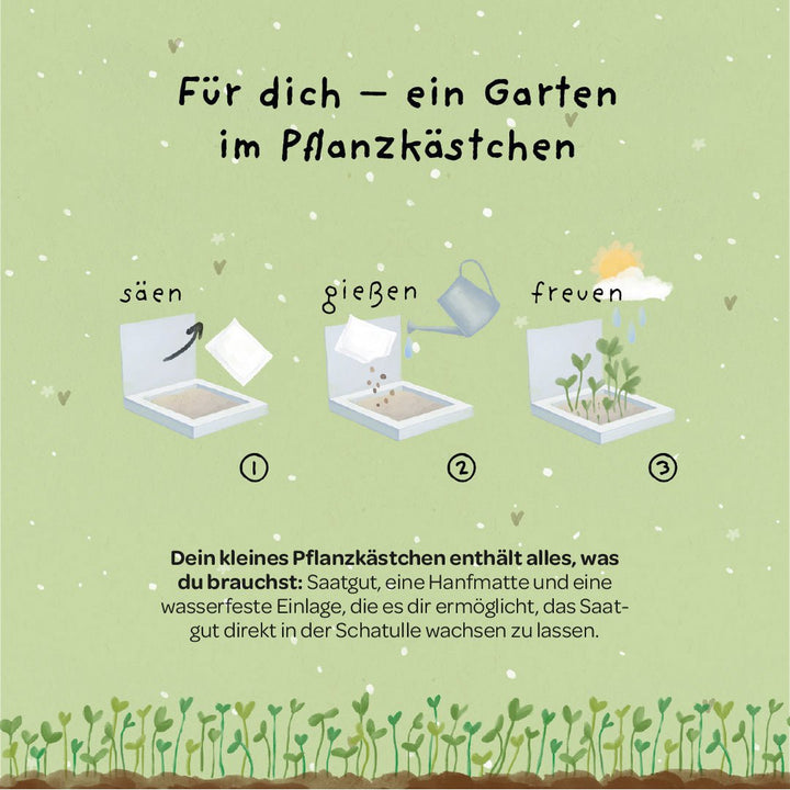 Die Stadtgärtner Pflanzkästchen - Gans lieben Dank bei Nauli and Stories