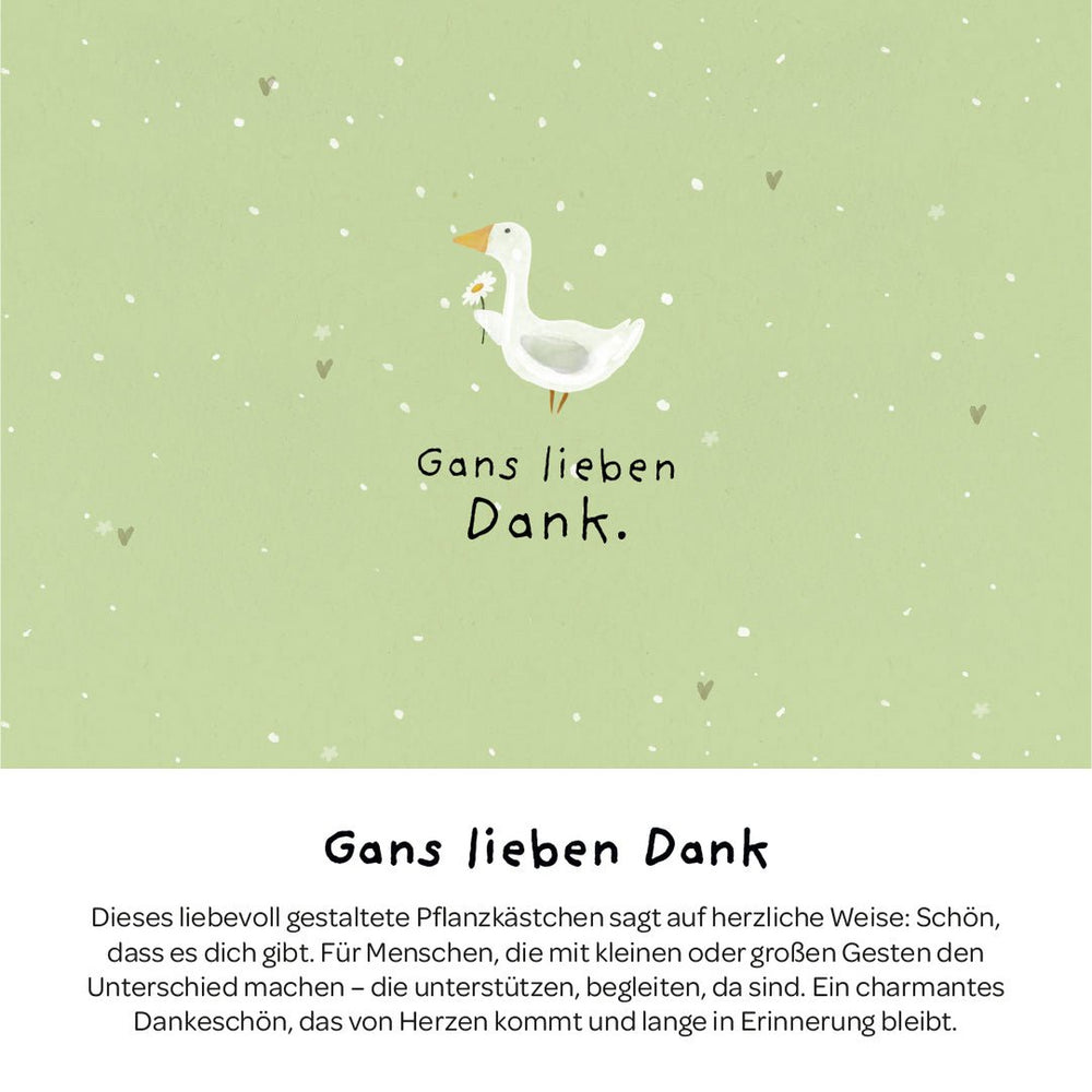 Die Stadtgärtner Pflanzkästchen - Gans lieben Dank bei Nauli and Stories
