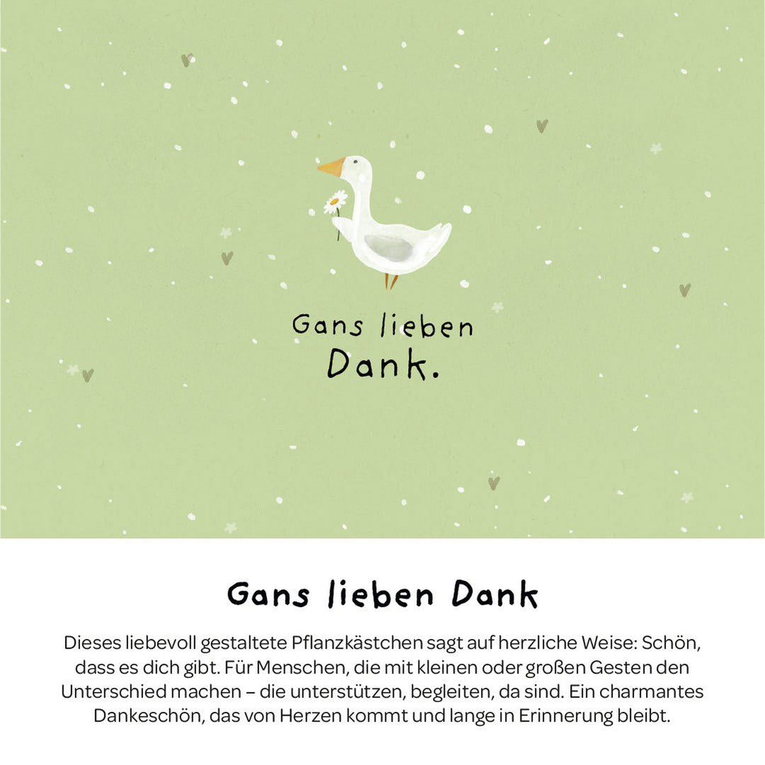 Die Stadtgärtner Pflanzkästchen - Gans lieben Dank bei Nauli and Stories
