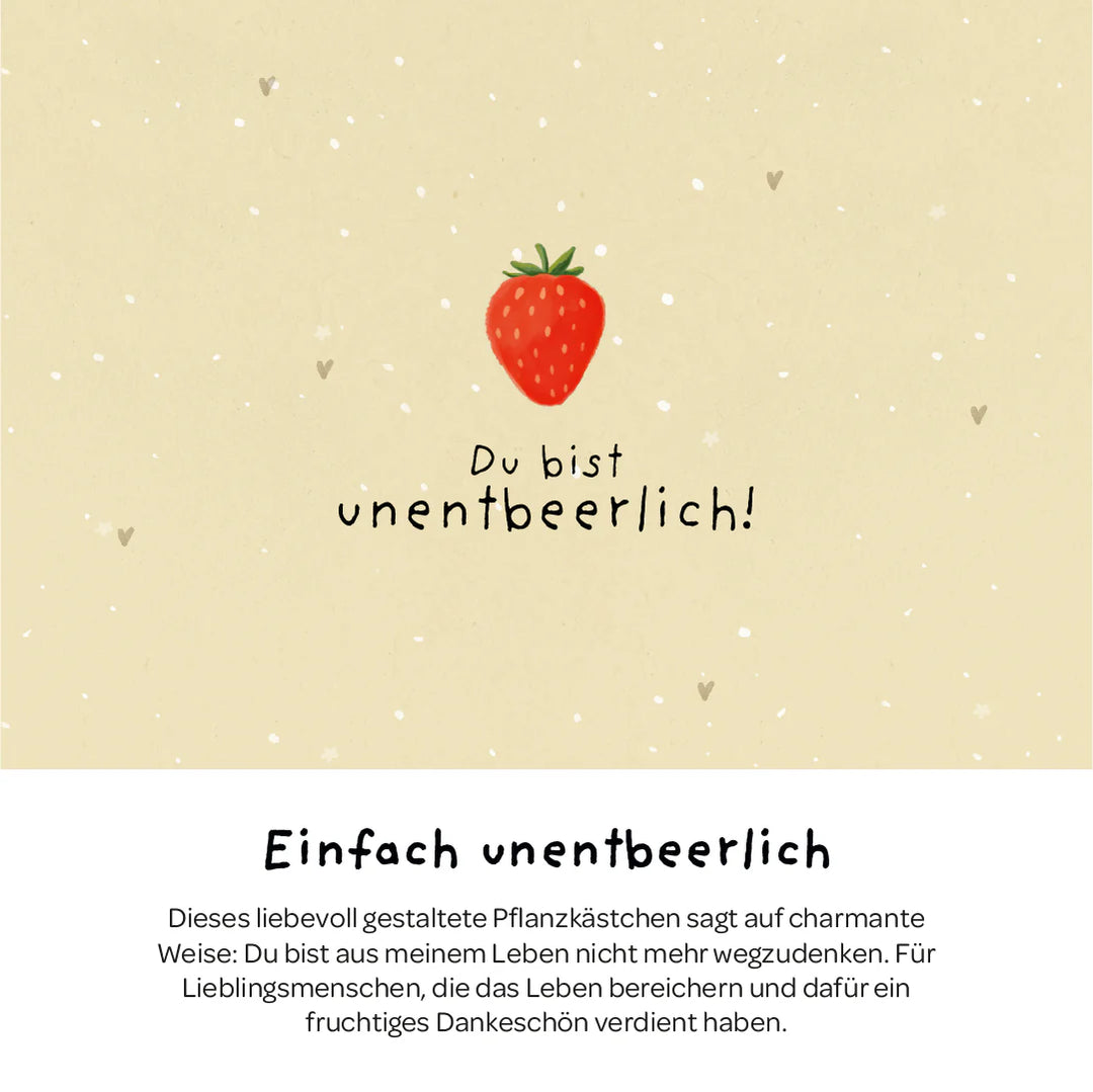 Die Stadtgärtner Pflanzkästchen - Unentbeerlich bei Nauli and Stories