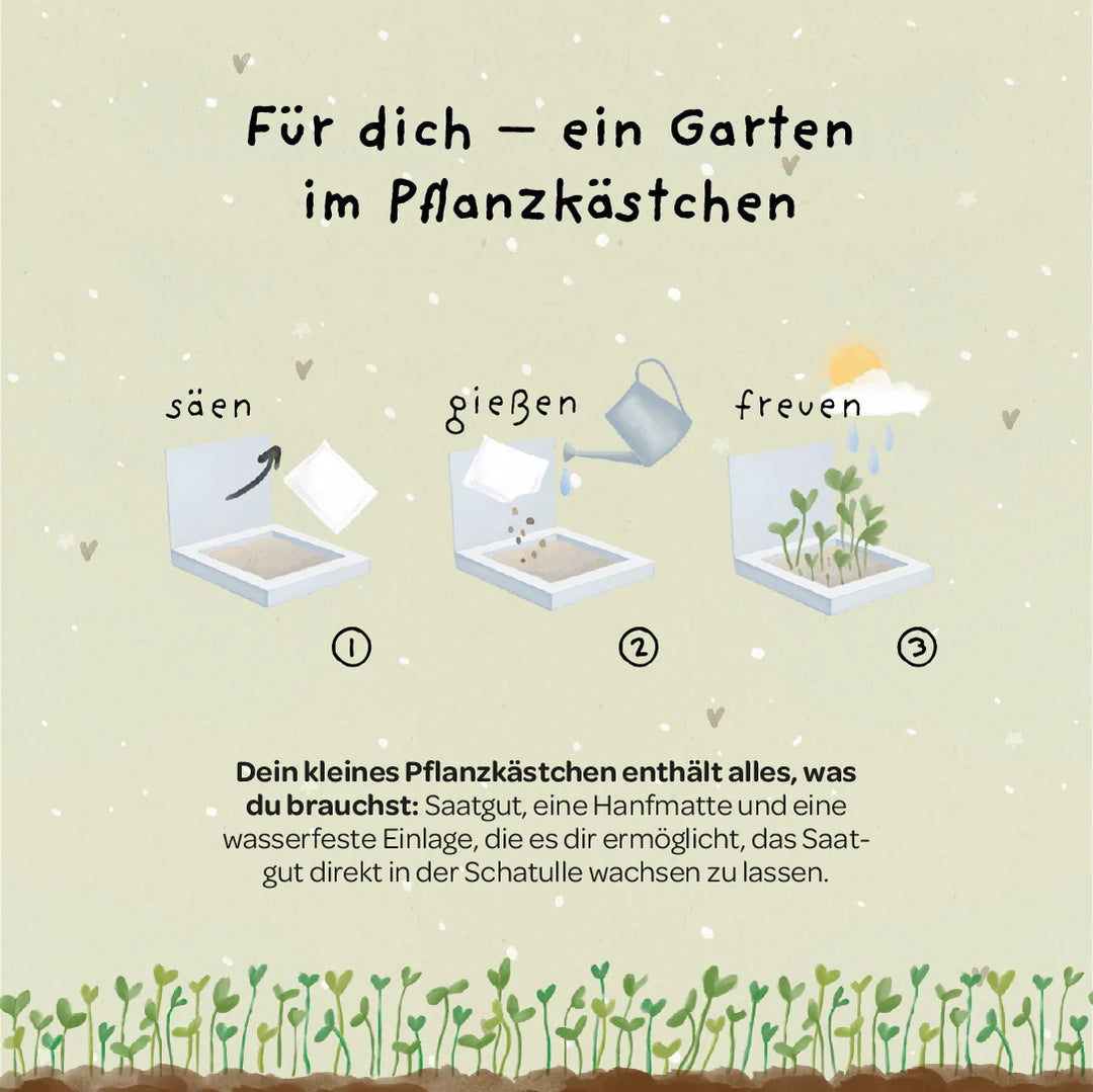 Die Stadtgärtner Pflanzkästchen - Viel Erfolg du Glückskind bei Nauli and Stories